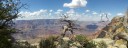 Grand-Canyon-Panorama